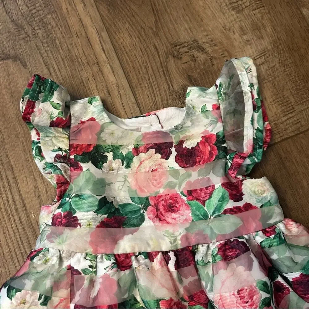 Pastourelle Pippa & Julie Floral Organza Dress w/ Bloomers, Flutter Sleeve, 24m